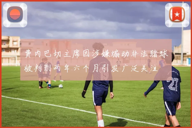 费内巴切主席因涉嫌煽动非法赌球被判刑两年六个月引发广泛关注
